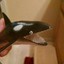 orca 25