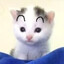 哈吉咪