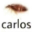 carlos