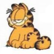 在你进去前兄弟一直以为你在开玩笑