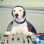 DJ matafakin dog