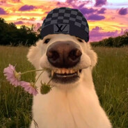 SURVIVOR BUT 40 FPS