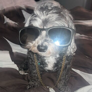 Turnzo