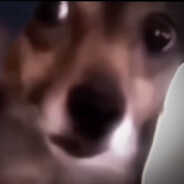 刚升了探长好威风啊