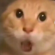 输入111免费算命