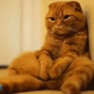 她说人多才热闹