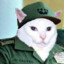 Fidel Catto