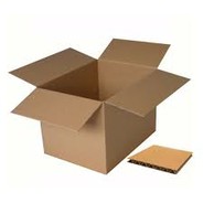 Cardboard