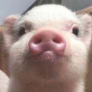 piter. - steam id 76561198298276678