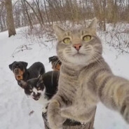 阳光开朗大男孩