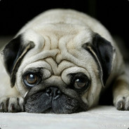 842546445