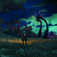 <IMG>DFAUNA<><GREEN>万<RED>花