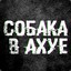 CO6AKA_B_AXYE