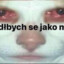 zjodłbych se jako myš...