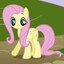 💜 Fluttershy Forever 🍄