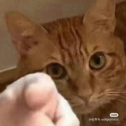 我出剪刀你出瀑布