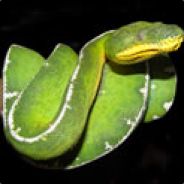 Slither - steam id 76561197964485740
