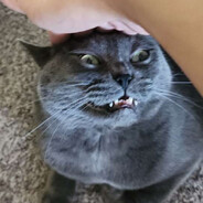 I'm Gonna Get Ya