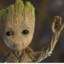 Groot