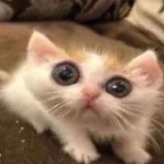 Judgement Ω's avatar