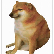 Meme Toast