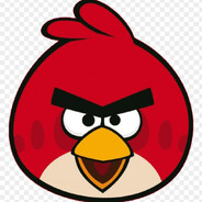 angry bird