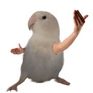 厨房竟然有只老鼠