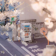 玲珑骰子安红豆