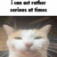 Meow