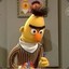 Bert