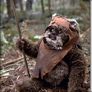 wicket