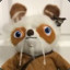 Master Shifu
