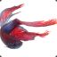 TheFightingFish