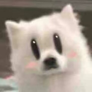 Teamo什么都不知道