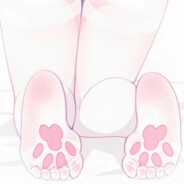 被栓住的花臂小猫