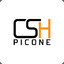 CSH Picone