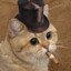 top hat cat :)