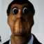 Obunga