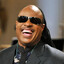Stevie Wonder Vision