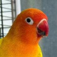 你是不是交易账号了