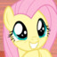 fluttershy