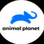 animals planet