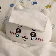 小猫你可以吃芝士汉堡