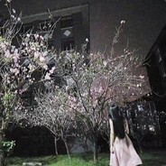 马家枪法继承人