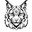 LynX