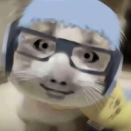 六代目水影[普通猫长十