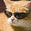 coolcat