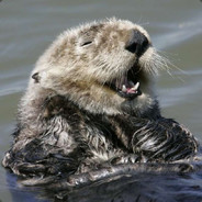 THIS.IS.OTTER