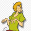 Shaggy