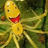 爱的魔力转圈圈